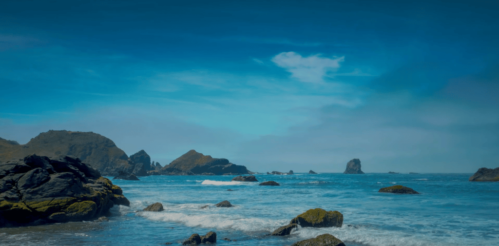 ganzheitliches coaching für firmen neuland convers ramona göpfert